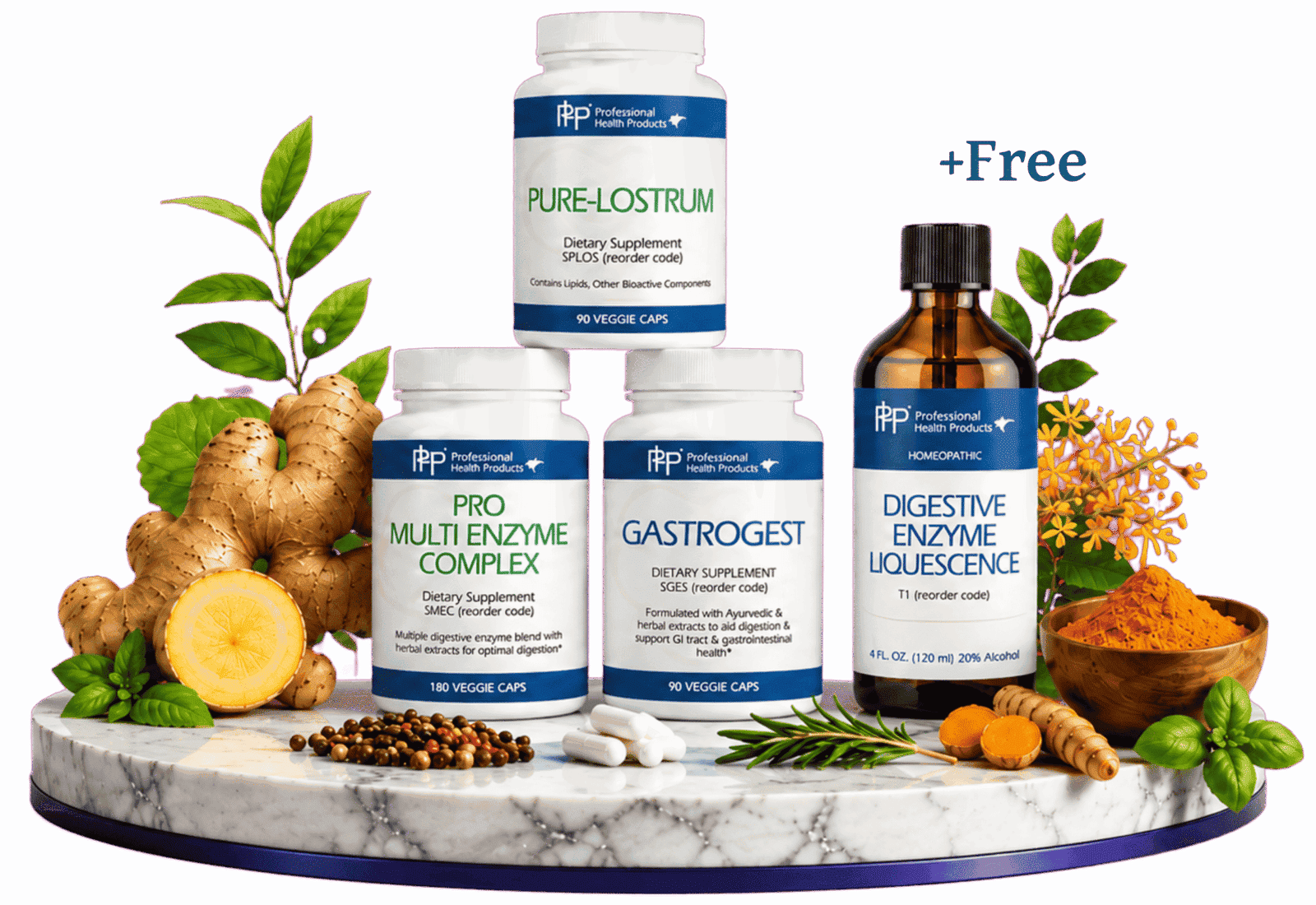 GI & Digestion