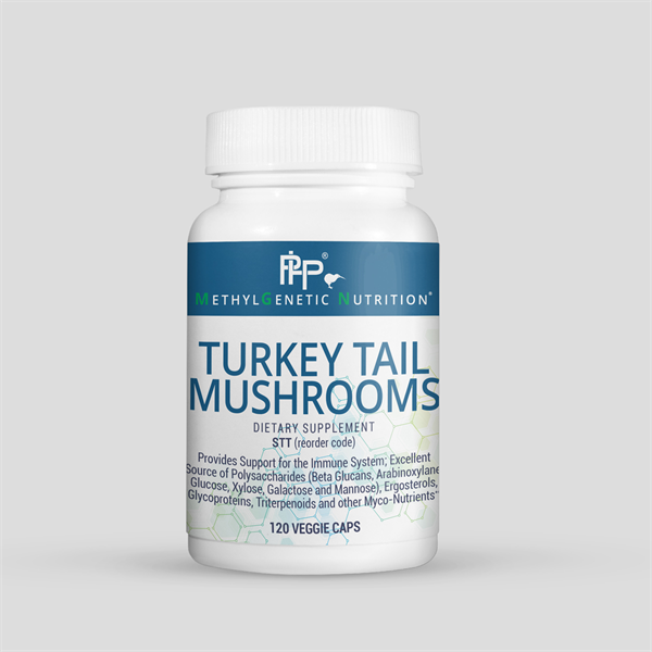 Turkey Tail Mushrooms